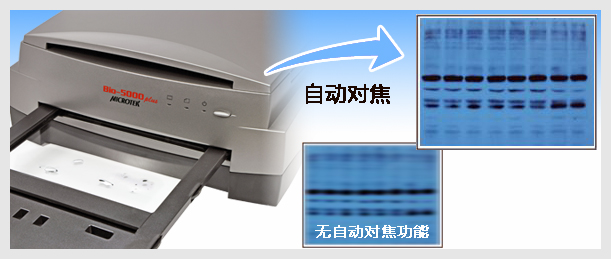 1573717617937092.jpg image009.jpg