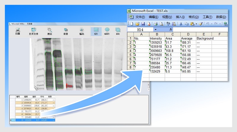 1573717754127177.jpg image015.jpg